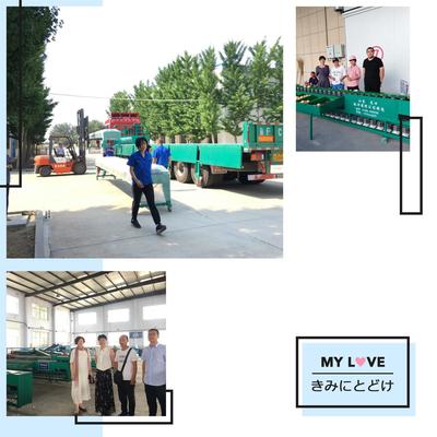 苹果梨蜜桃选果机