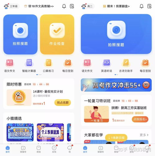 抄作业神器还是学习好帮手 搜题软件作用何在