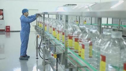 四方英才聚儋洋丨霍达 推动自贸港政策落地的好帮手